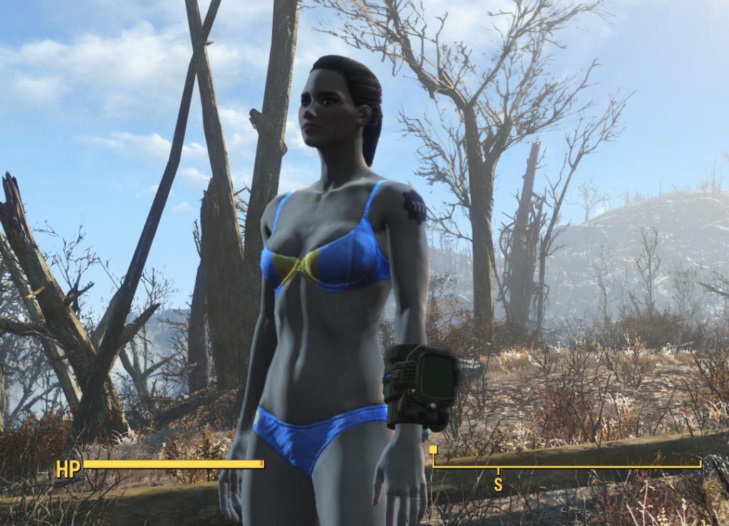 fallout 4 underwear replacer